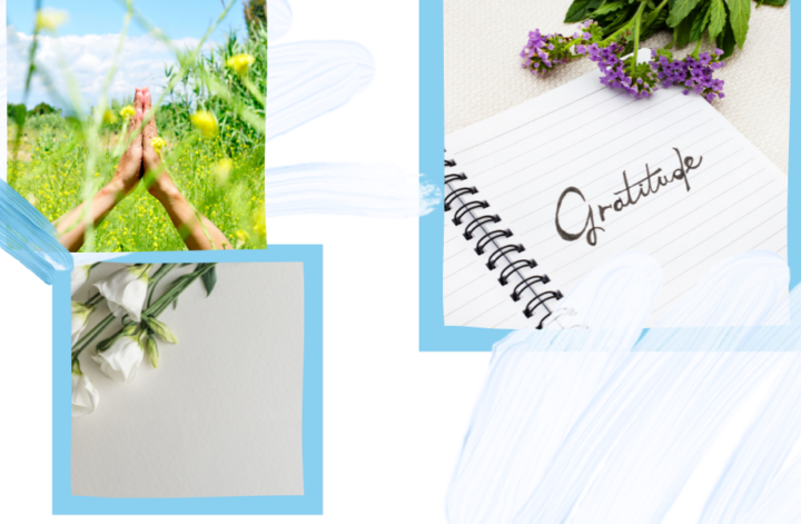 Pratiquer la gratitude